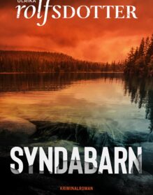 Syndabarn cover
