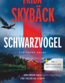 SKYBÄCK_Schwarzvogel_Cover