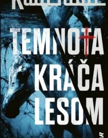 big_temnota-kraca-lesom